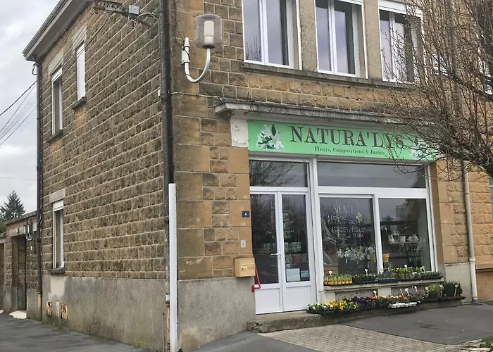Le Du Canal Des Ardennes Le Chesne (Ardennes)